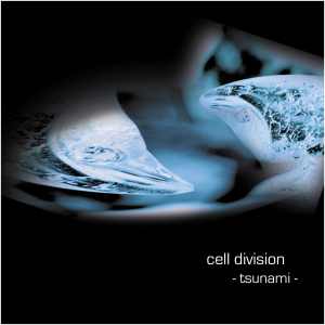Cell Division: Tsunami