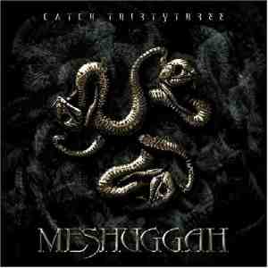Meshuggah: Catch Thirty three